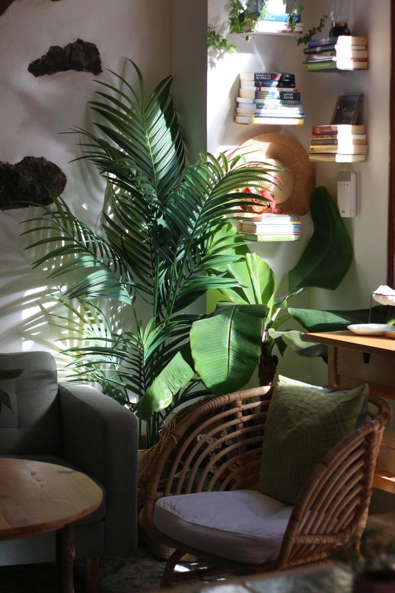 Banana Garden La Palma Hotel Santa Cruz de la Palma  Ngoại thất bức ảnh